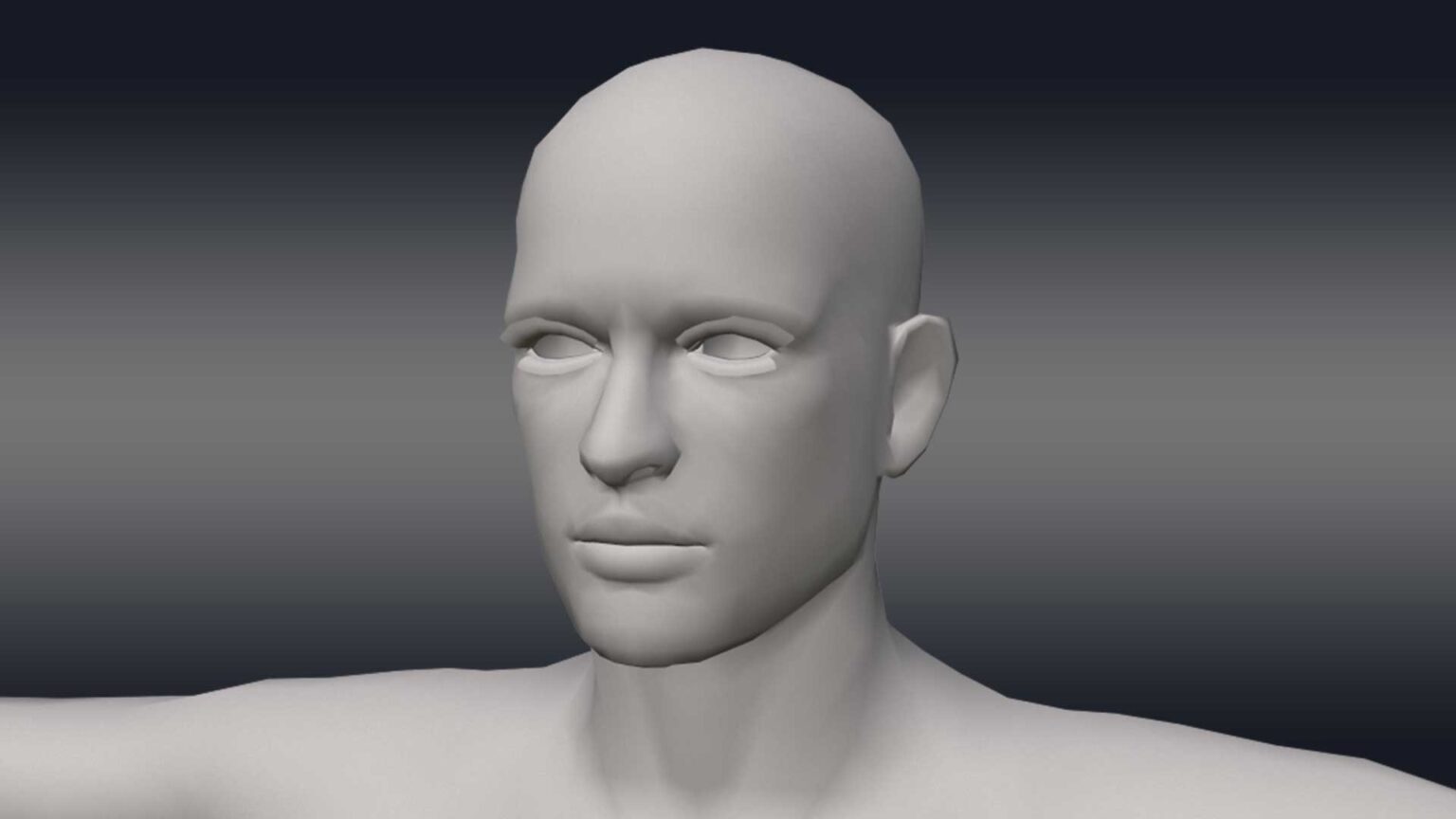 Human Body Base Mesh Rigged 3D Model Pack - Animatics Asset Store